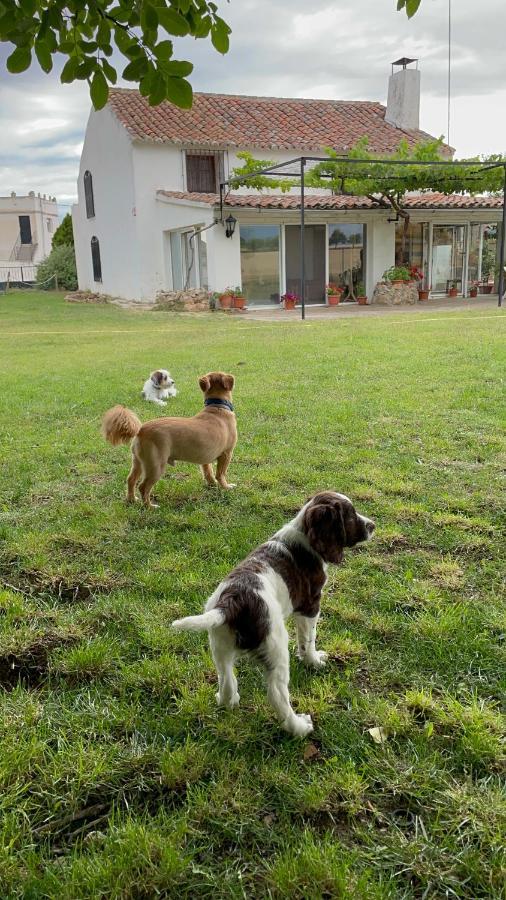 ألكاراز Los Manantiales Casa Rural المظهر الخارجي الصورة